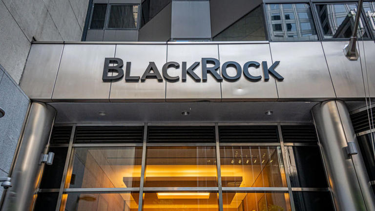 BlackRock: ottobre al secondo posto per maggiori afflussi ETP, il 2024 sarà un anno da record