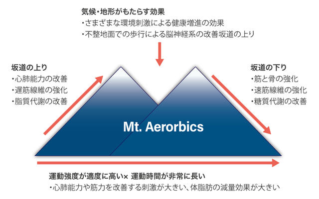 登山が健康や体力の改善におよぼすさまざまな効果（ 山本、2008）