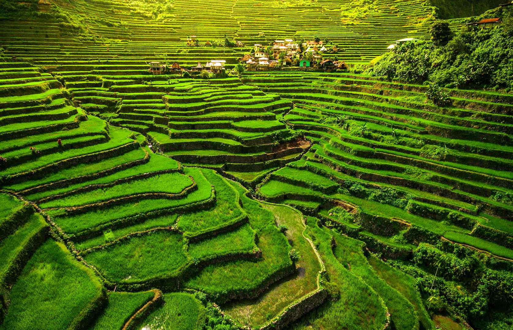 Ifugao Rice Terraces