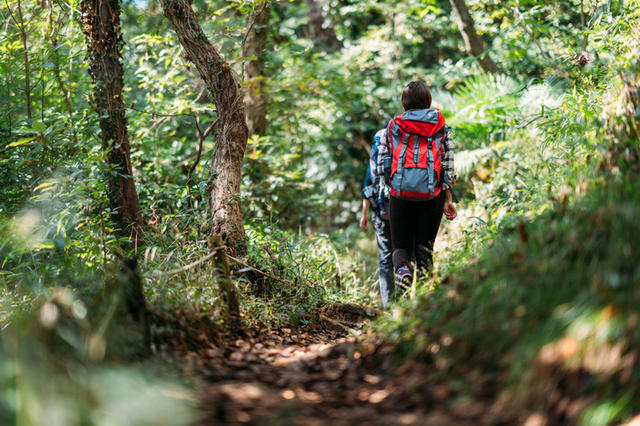 運動の“百薬の長”にも「処方箋」が必要。自分オリジナルの処方箋で、これからも長く安全に楽しめる photo by gettyimages