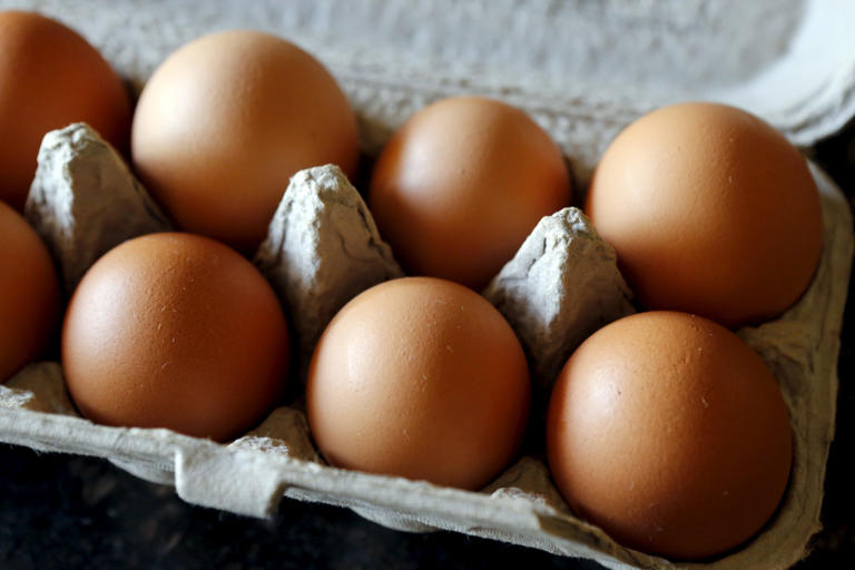 FDA Costco eggs recalled over salmonella fears now classified as