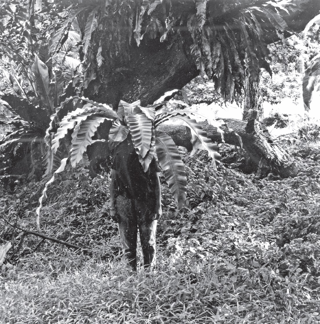 Inside mindscapes that define us - AA1v2Qut.img