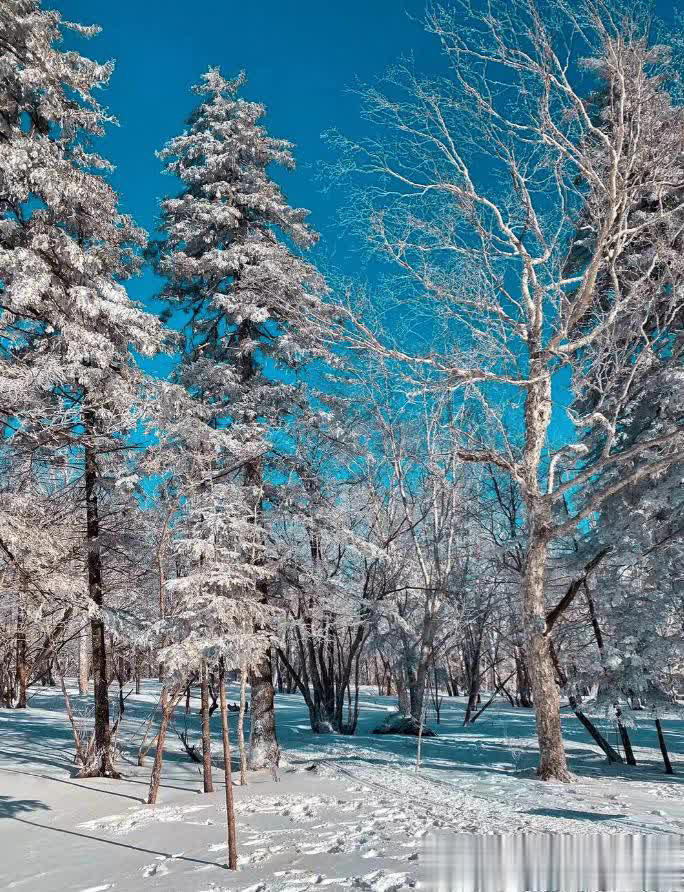 适合老夫老妻冬季赏雪的3座小城，景色绝美，就去这里看一场雪吧