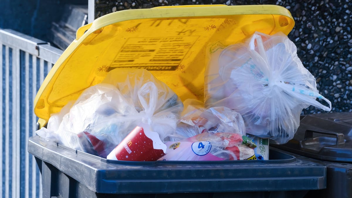 Müll in fremden Tonnen Diese Strafen drohen