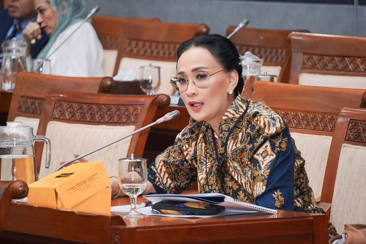 RI Diajukan Jadi Presiden Dewan HAM PBB, Anggota DPR: Dorong Perbaikan Diri