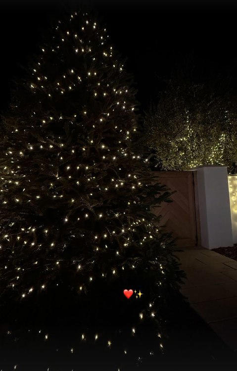 Hailey shared this photo of their outdoor Christmas tree