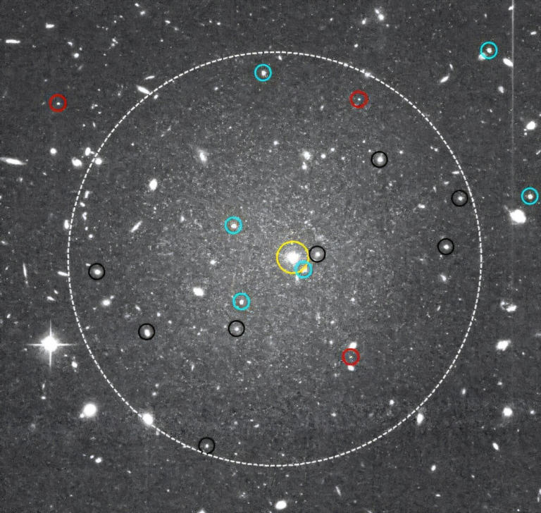 Astronomers explore globular cluster system of ultra-diffuse galaxy VCC 615 