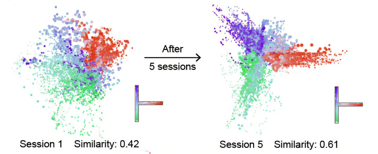 Study suggests how brain with - AA1vCtzi.img