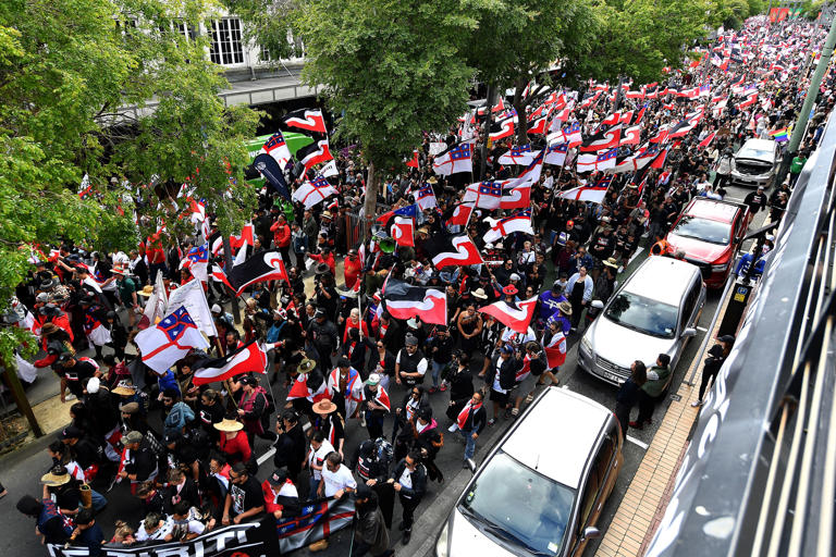 Thousands of people participated in a protest march to parliament against the Treaty Principles Bill (AFP/Getty)