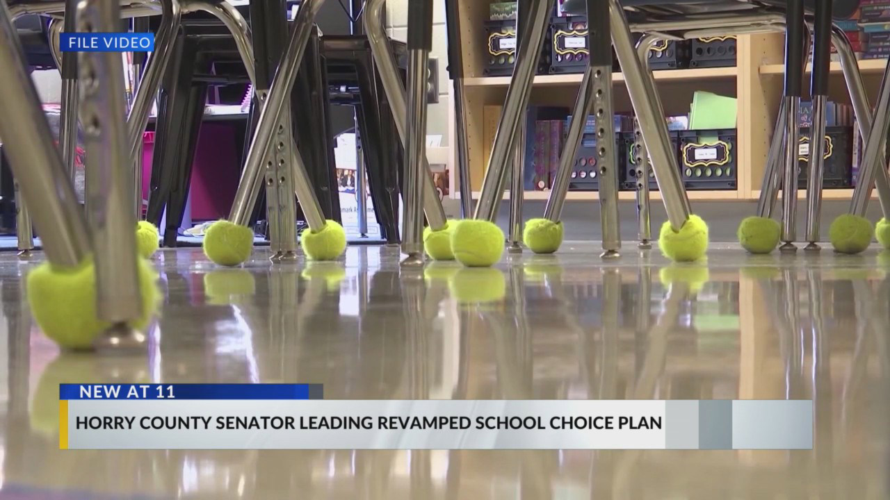 Horry County senator leading revamped school choice plan following Horry County senator leading revamped school choice plan following