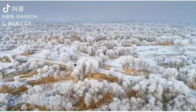 塔克拉玛干沙漠 下！雪！啦！