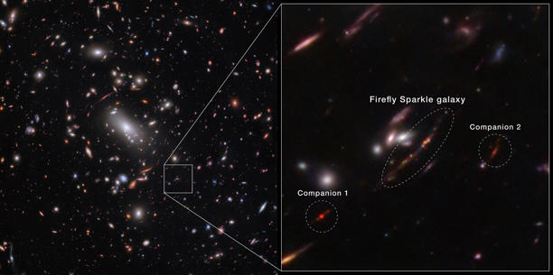 De locatie van Firefly Sparkle. Een kader is vergroot aan de rechterkant. Een centrale ovaal markeert het Firefly Sparkle-sterrenstelsel. Ook de metgezellen zijn omcirkeld. Afbeelding: NASA, ESA, CSA, STScI, C. Willott (NRC-Canada), L. Mowla (Wellesley College), K. Iyer (Columbia)