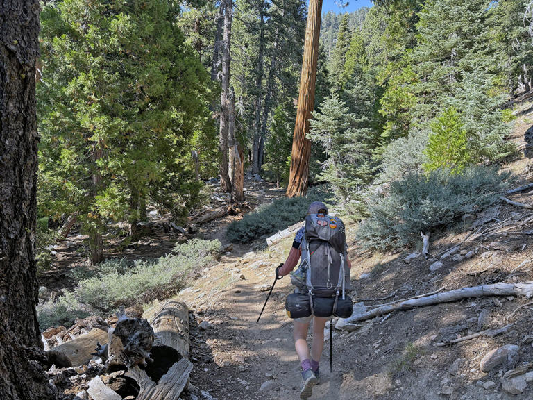 Maura Fox: ‘A rite of passage’: San Gorgonio looms over Southern ...