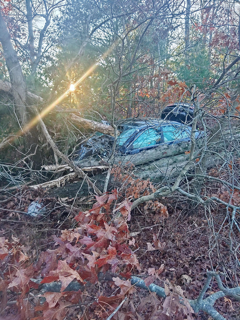 Car crashes into woods off I-95 in Exeter