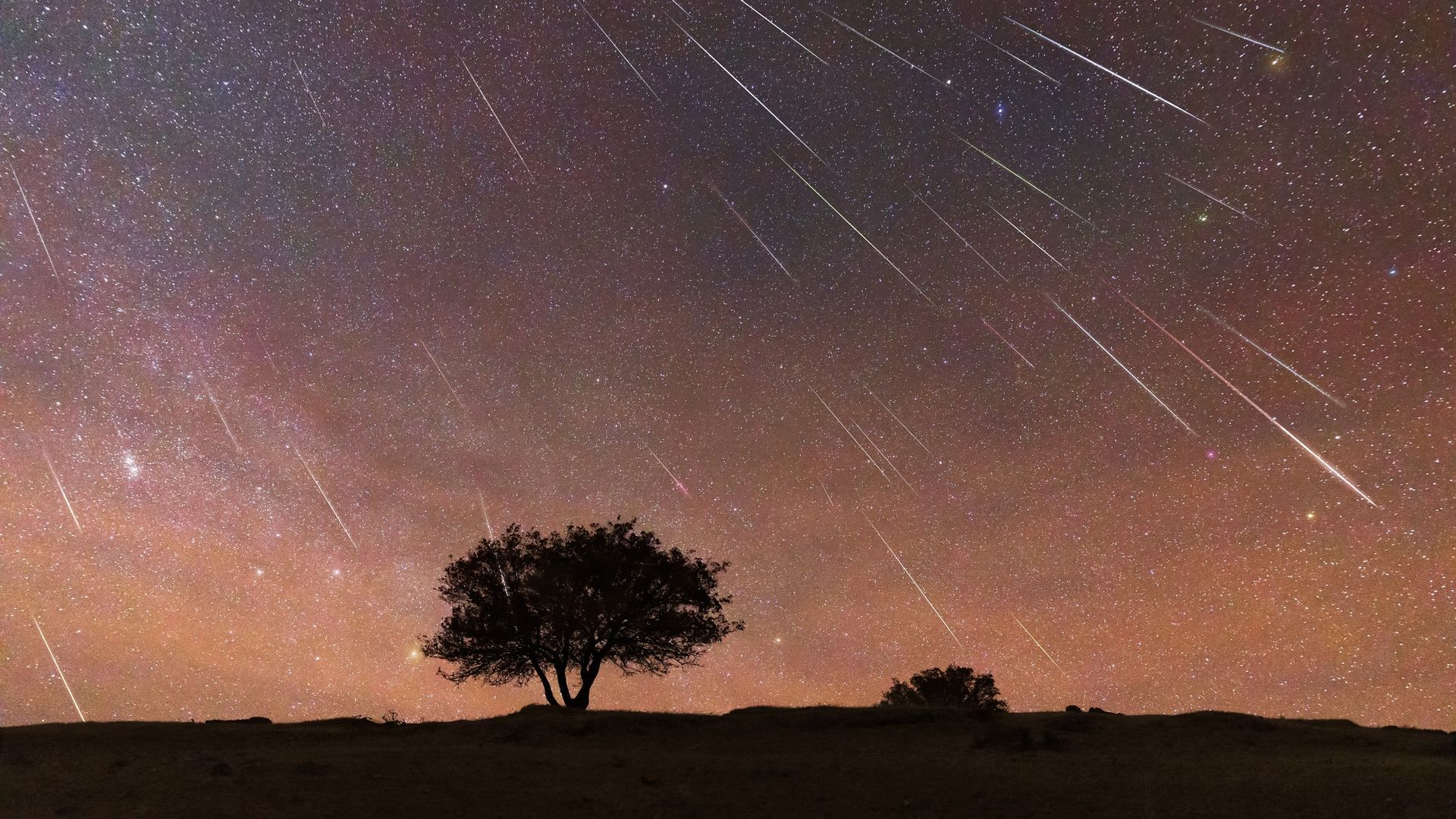 Geminid Meteor Shower Peaks Tonight! Here's How To See One Of The Best ...