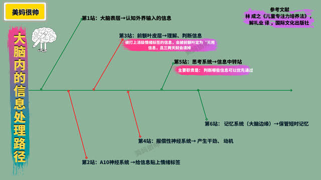 小的时候,有过这2种经历的孩子,长大后才思敏捷、学东西非常快 小的时候,有过这2种经历的孩子,长大后才思敏捷、学东西非常快