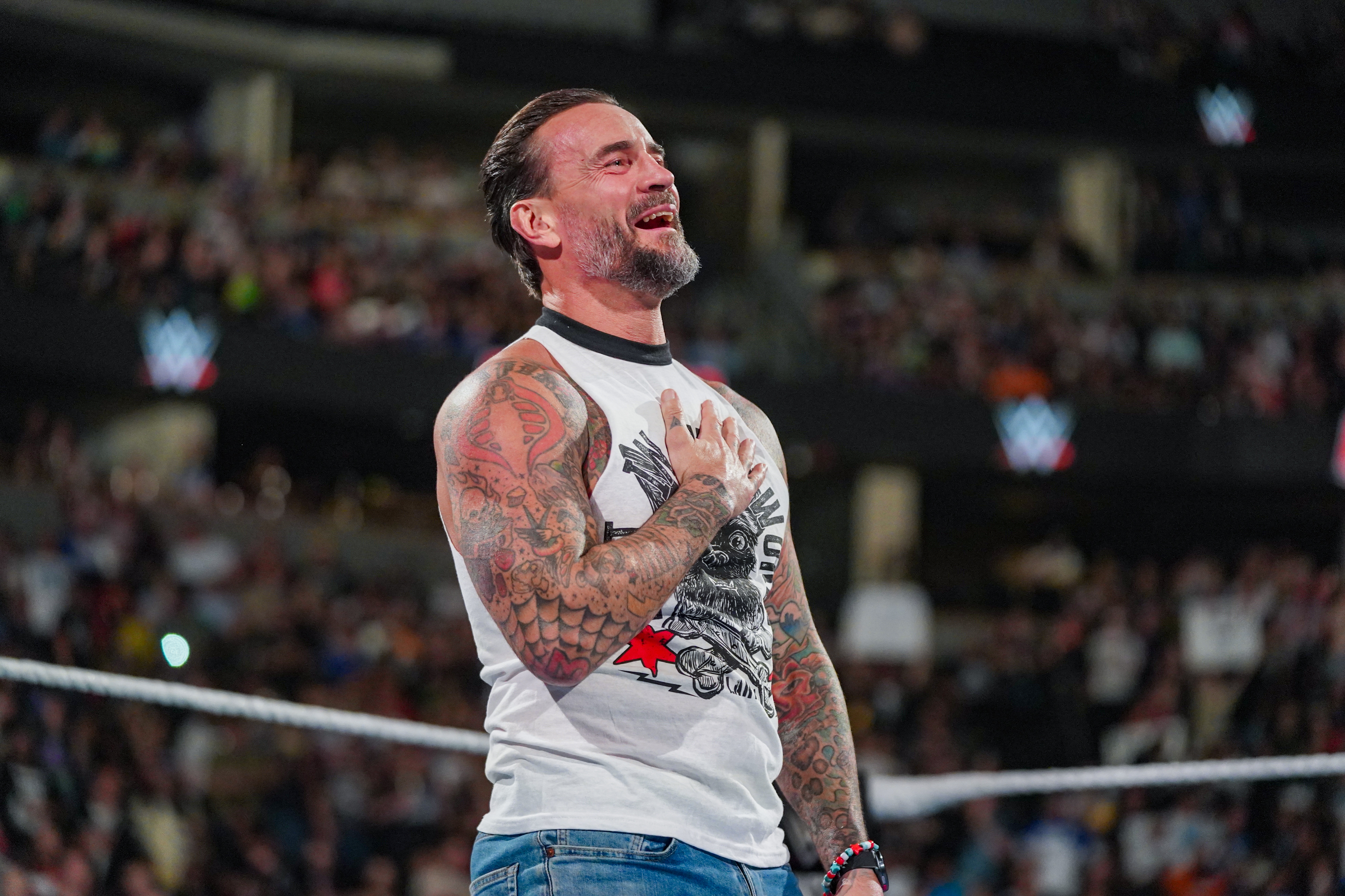 WWE Star CM Punk Reacts to Potential AJ Lee Return After Clash in Paris, image size:3936x2624