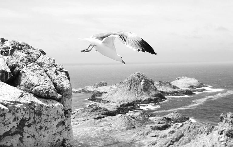 Las islas Galápagos son Patrimonio Natural de la Humanidad en el catálogo de la Unesco. Foto Ap