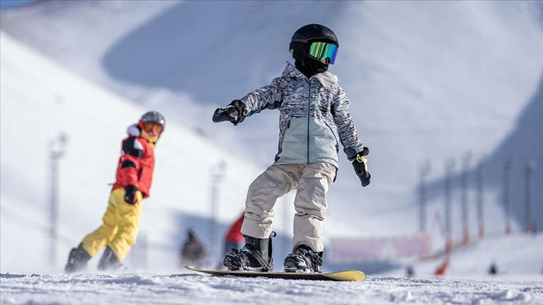 VBA vs. Python: Which is the best tool for Excel automation