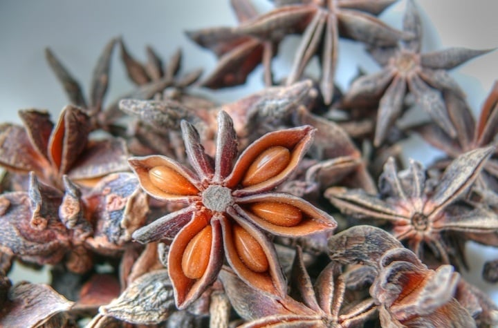 Hóa ra đây là lý do hoa hồi được coi là 'báu vật trời ban'