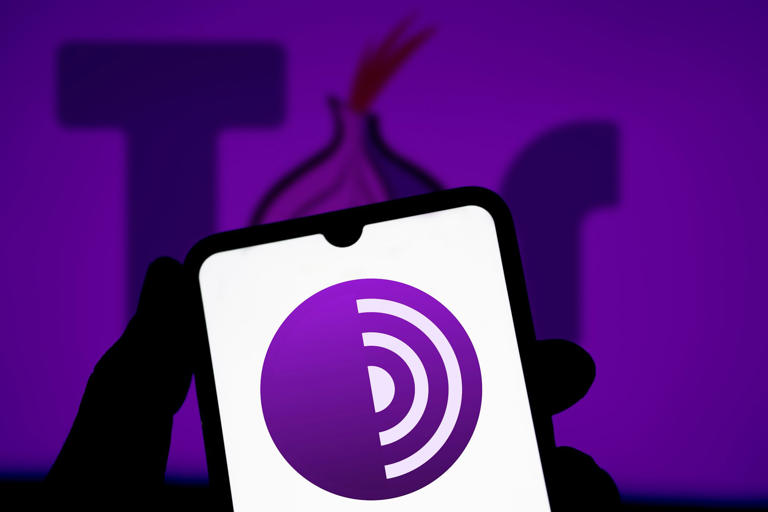 This Is How Tor Works (And What It Really Hides From Your ISP)