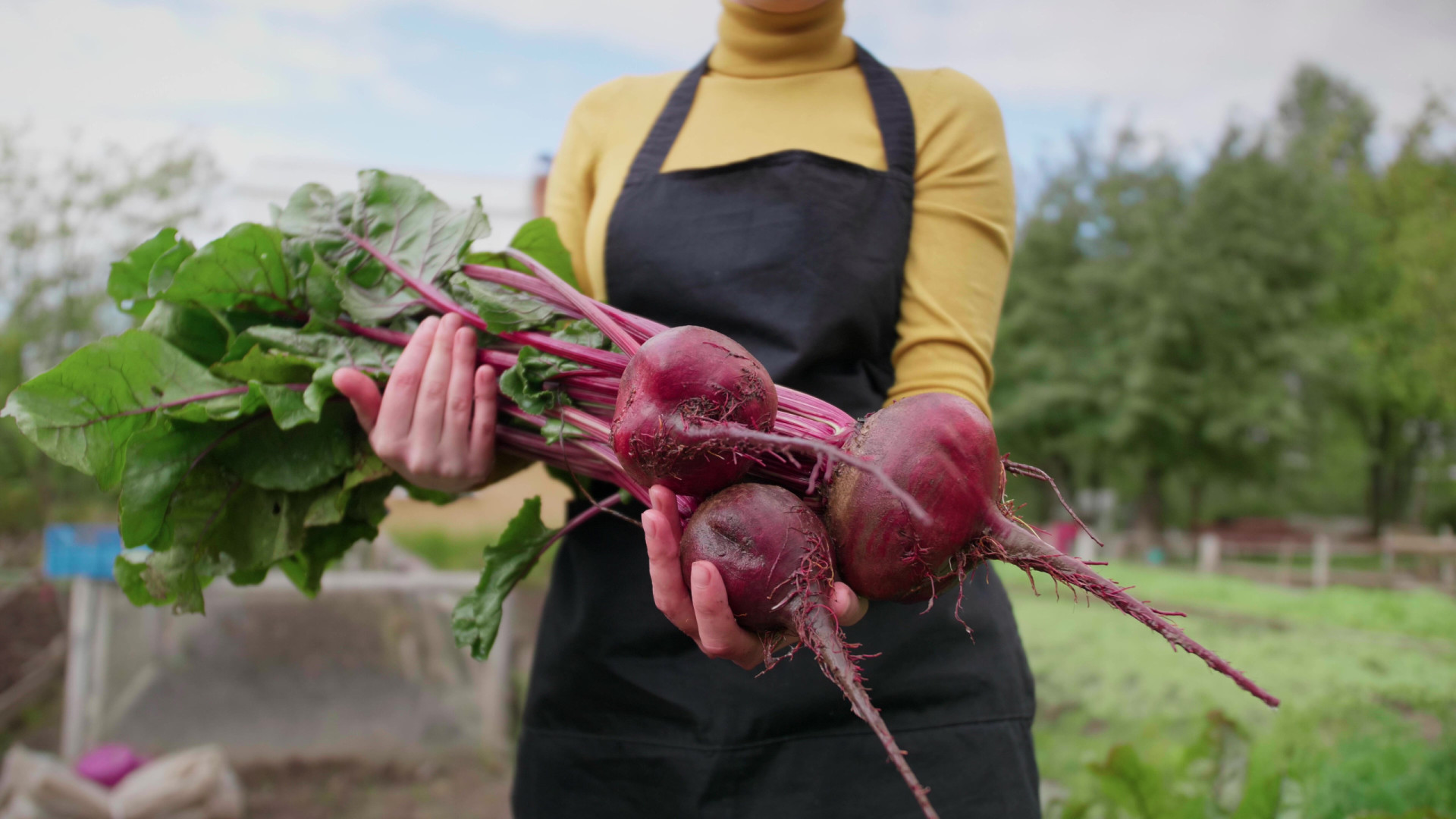 30 of the healthiest winter vegetables and fruits to try