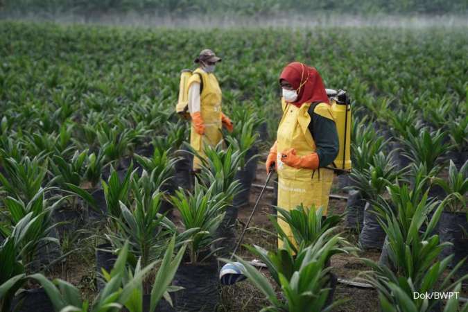 BWPT Siapkan Belanja Rp1,6 Triliun untuk Harga CPO Premium di Eropa