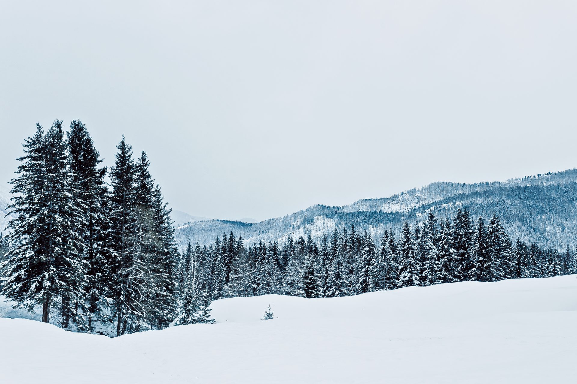 15 tips to waste less energy in winter