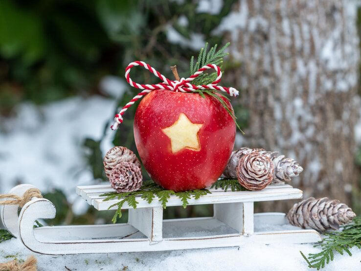 38+ Weihnachtsdeko Für Vorgarten, Der garten wird zur bühne für