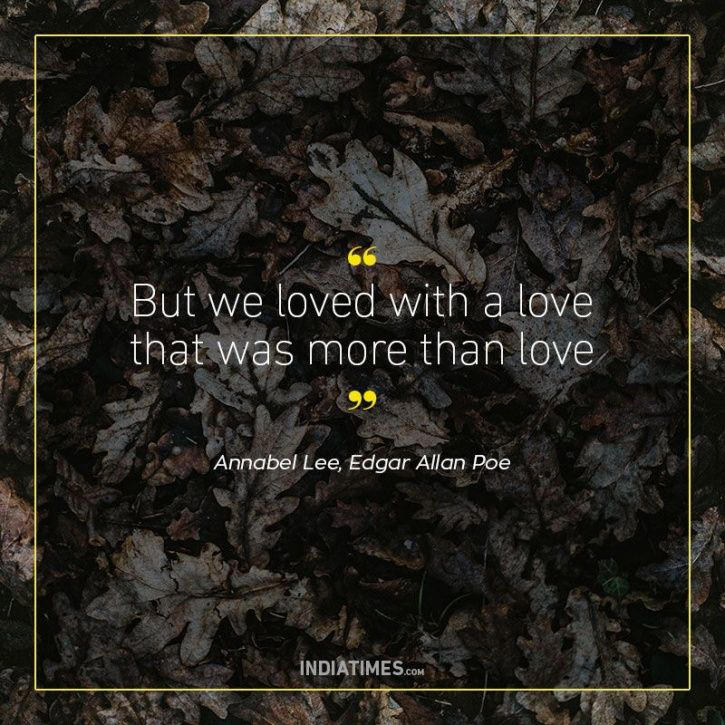 Hindi Movies: A Celebration Of Love, Loss, And Everything In Between - b7mj6lw