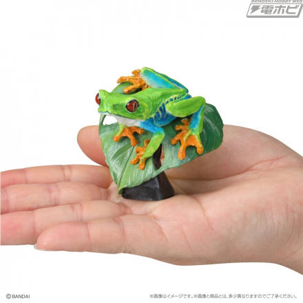 FENDI チャーム カエル frog FENDI チャーム カエル frog FENDI チャーム カエル frog FENDI