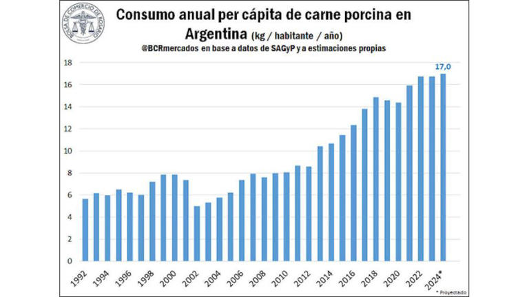 Consumo y producción de carne de cerdo 20241203