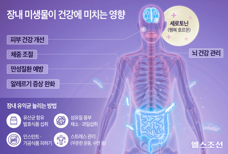 치매 막으려면, 장 속에 ‘이것’ 많아야