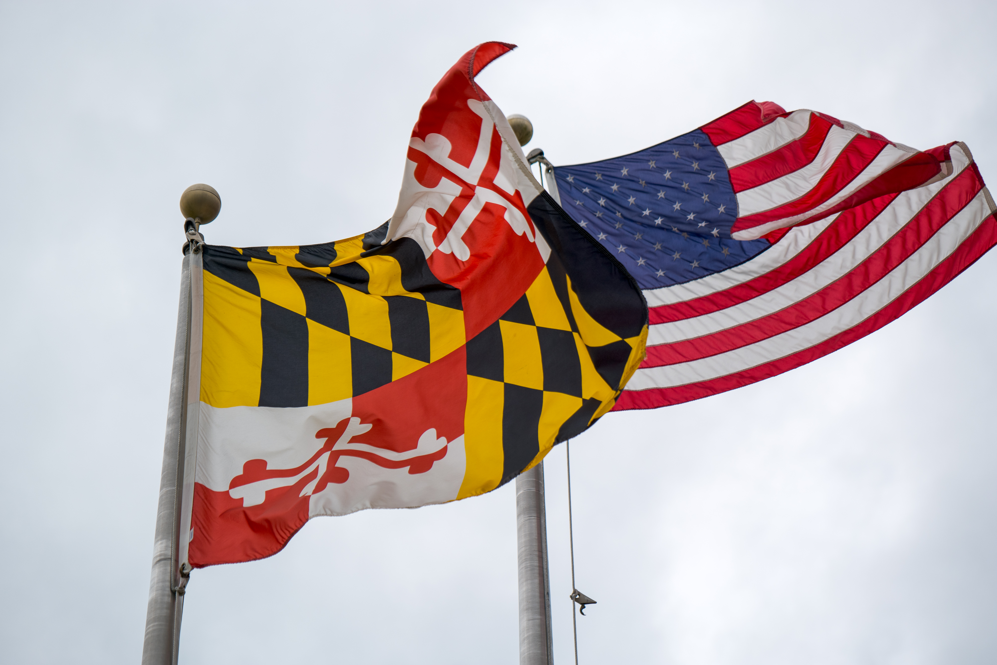 Neglect played a role in 16-year-old foster childs death, Md. finds