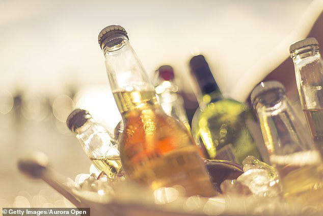Deaths from fake alcohol have spiked in the last week in Istanbul (File image of beer and wine bottles)