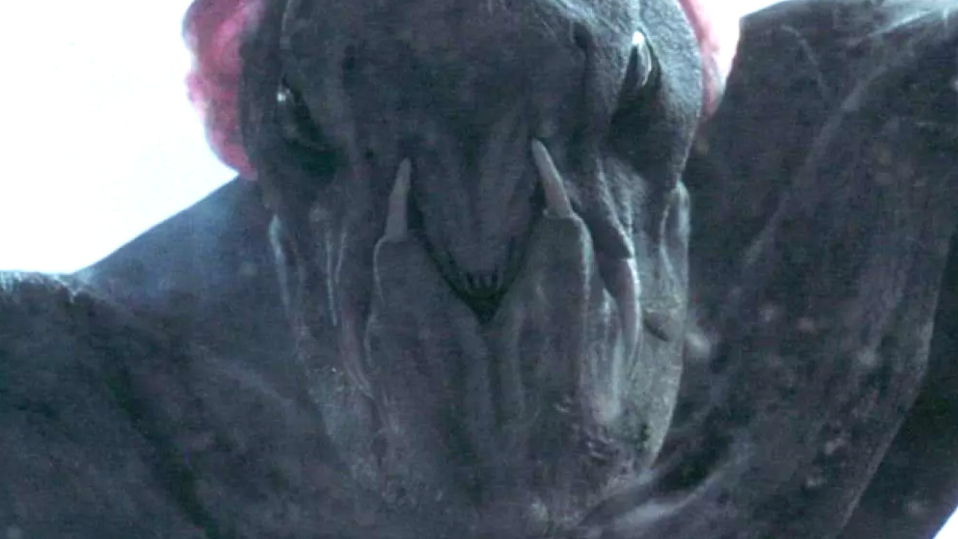 Horror Movie Monsters We Actually Feel Sorry For