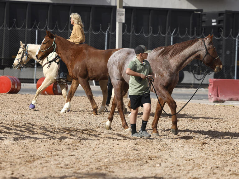 No NFR ticket? No problem, as rodeo events spread across Las Vegas