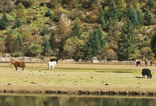 川西这一小众旅行地，未被发现的人间秘境，你寻找的美景都在这里