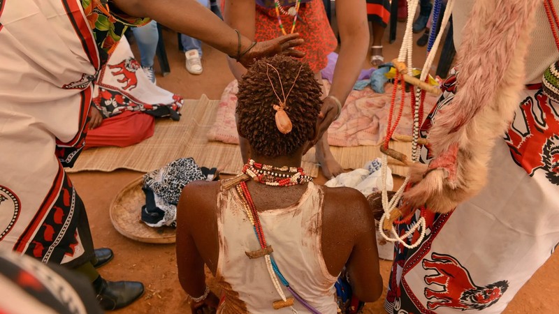 South Africa marks African Traditional Medicine Day with call for ...