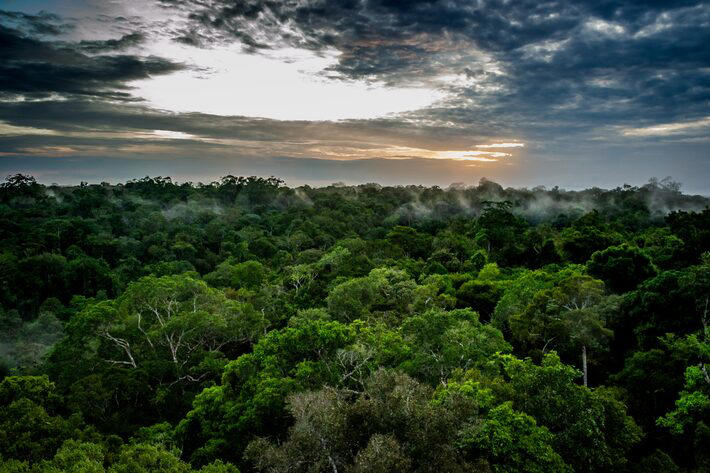 Com a nova descoberta, será possível simular o clima e compreender melhor o funcionamento presente e futuro do planeta. Foto: Marcos Mello/Adobe Stock