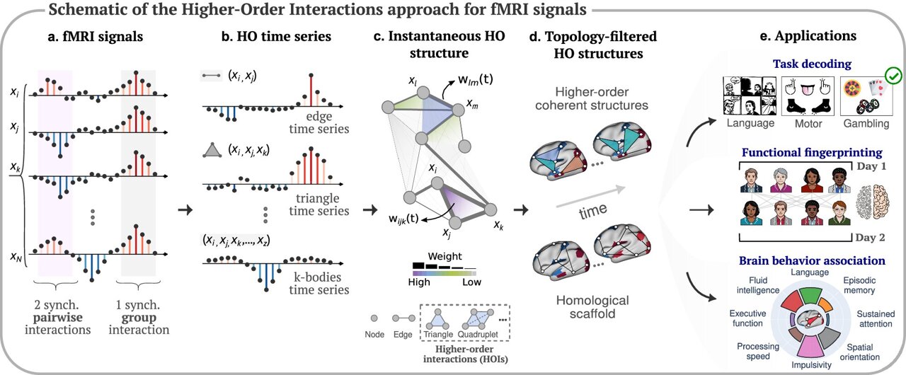 Brain mapping technique reveals - AA1vov3l.img