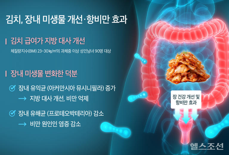 비만 억제하는 ‘이 음식’… 한국에서 제일 많이 먹는다던데