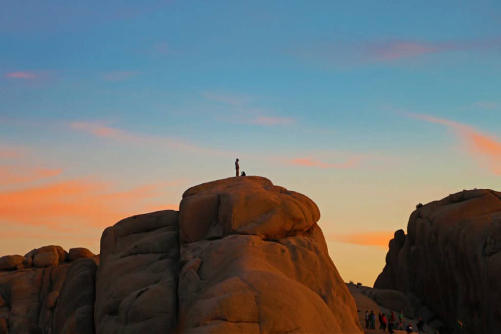 Complete Guide to Joshua Tree National - AA1vsIxM.img