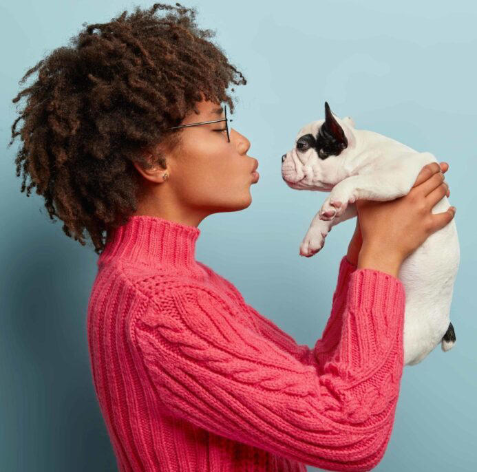 Treat your pup: 15 gift ideas for the dog who has everything