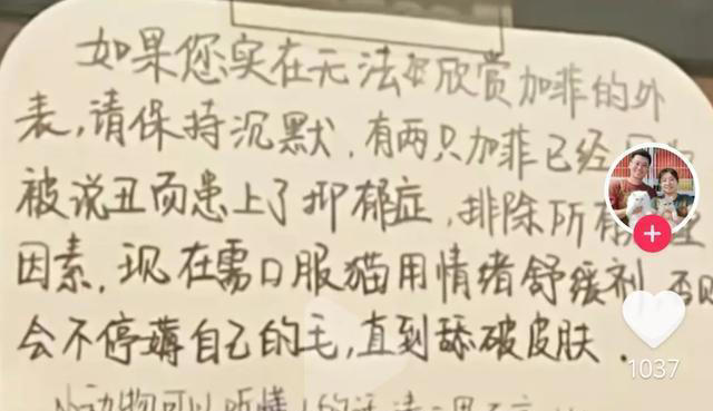 猫能听懂人说话吗？我的结是能听懂，看看我是怎么知道的