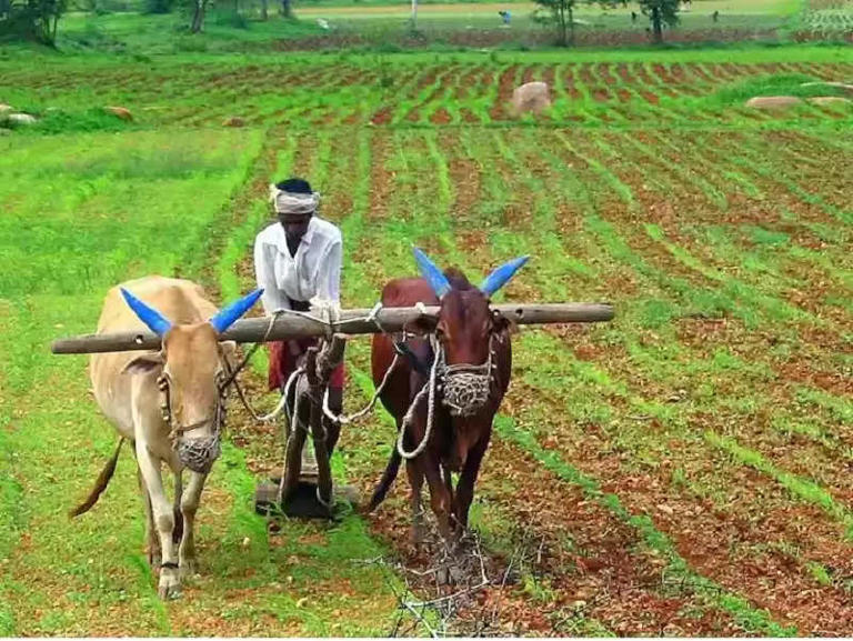 Good news for crores of farmers in the country, the 19th installment of PM  Kisan will