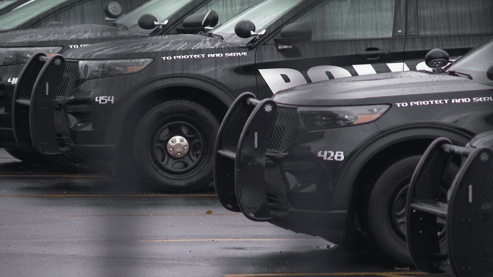 Stricter background checks could be coming for Michigan police officers