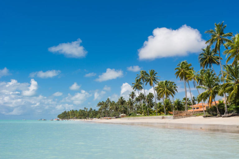 Paisagem de praia tropical coqueiros mar turquesa céu azul areia branca. Praia de Ponta de Mangue, Maragogi, Alagoas, Brasil.