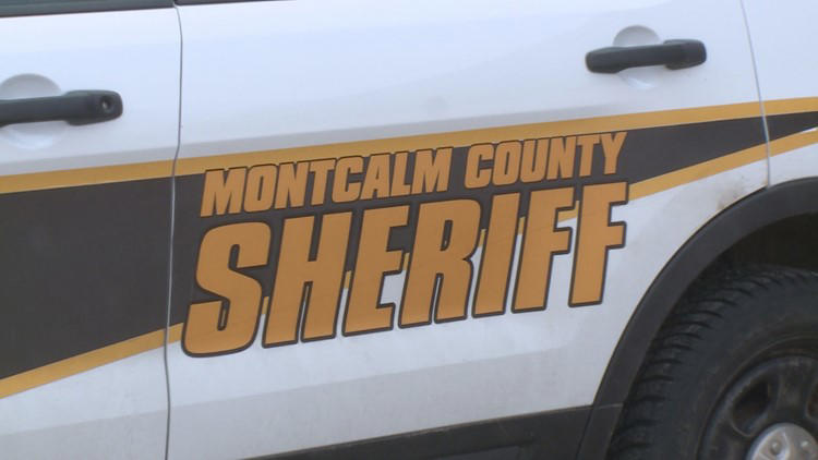Lockdown lifted at Central Montcalm Upper Elementary; deputies find no ...