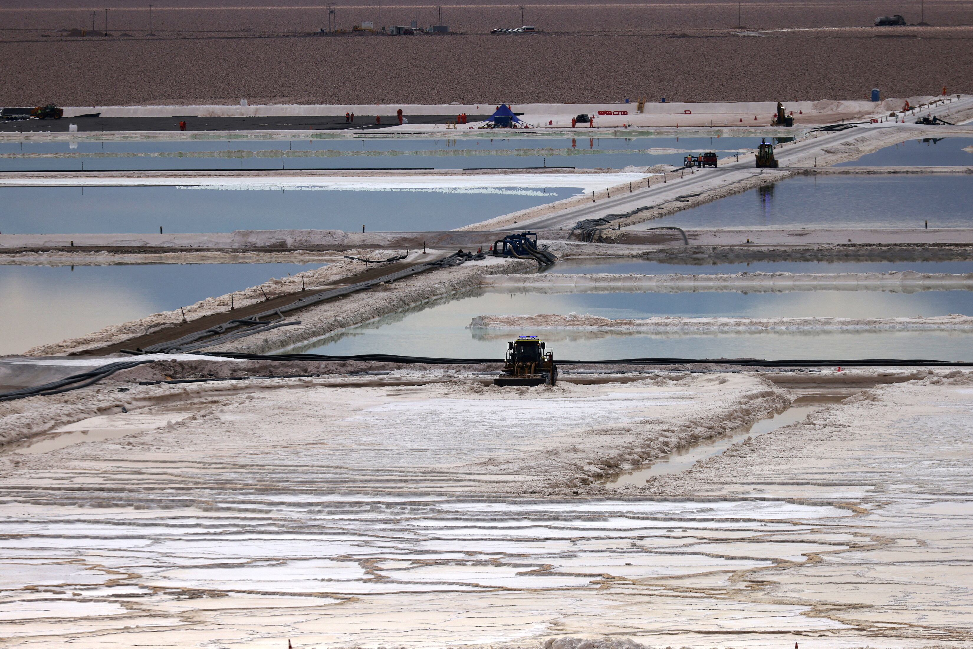 Albemarle alerta a autoridad ambiental por impactos en Salar de Atacama ...